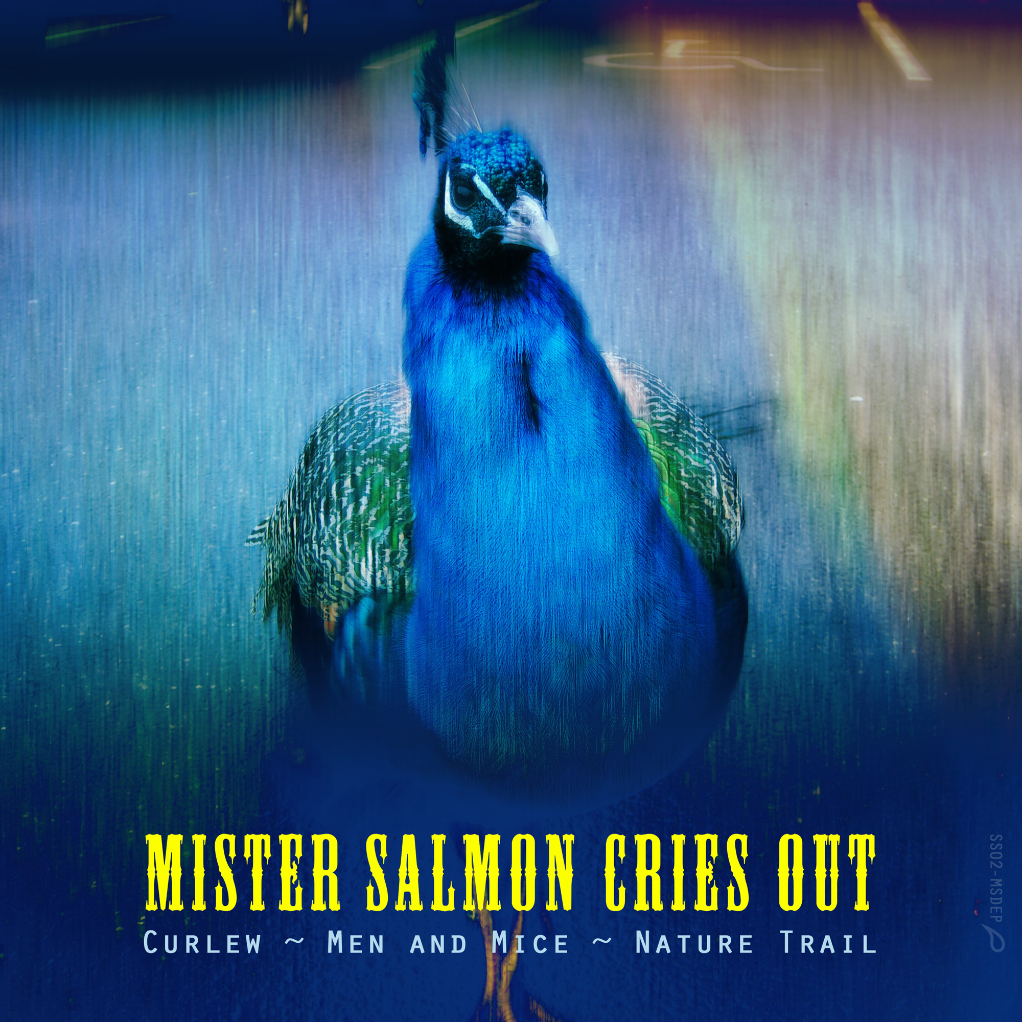 Mister Salmon Cries Out. Digital EP cover art 2020.
